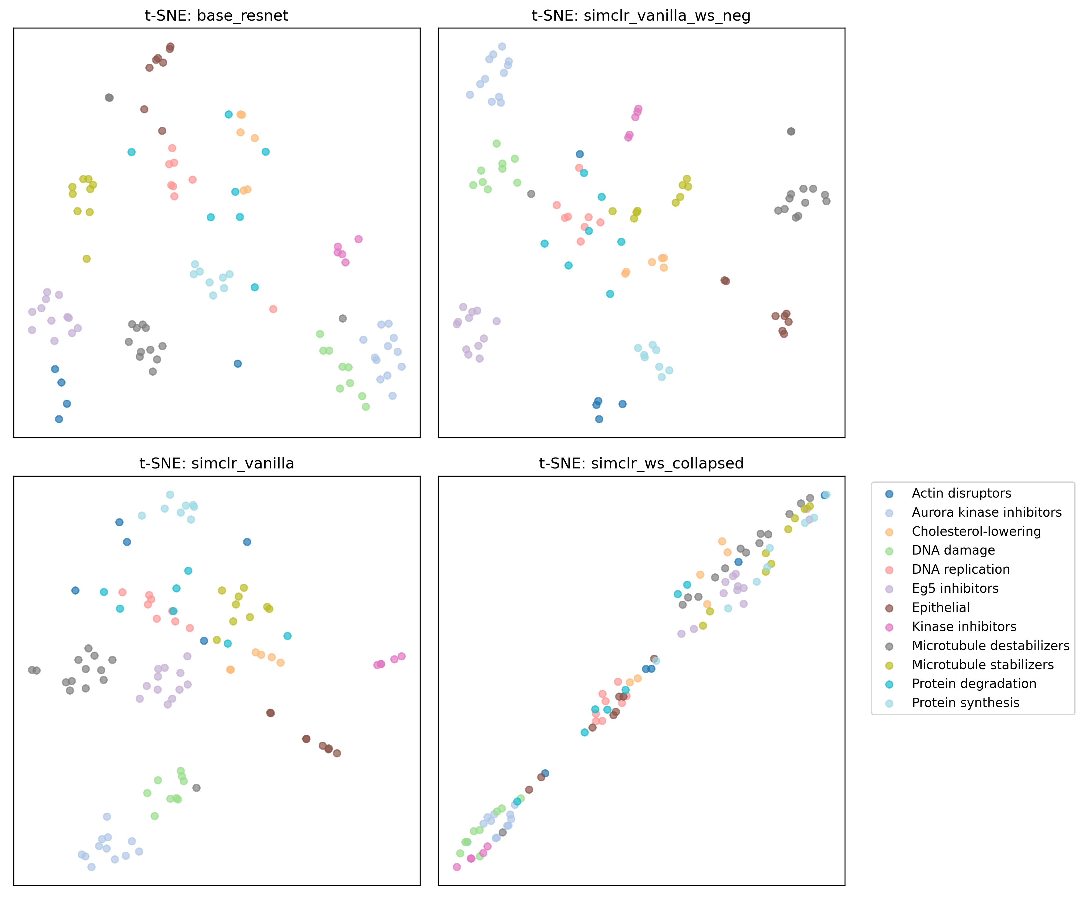 t-SNE comparison of model embeddings